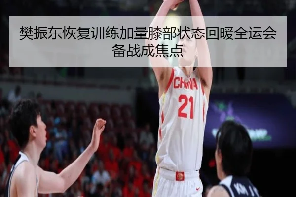樊振东恢复训练加量膝部状态回暖全运会备战成焦点（ANBOSPORT）
